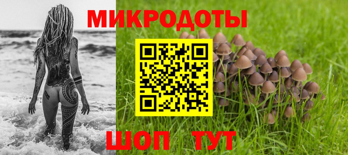 Галлюциногенные грибы Cubensis Асбест